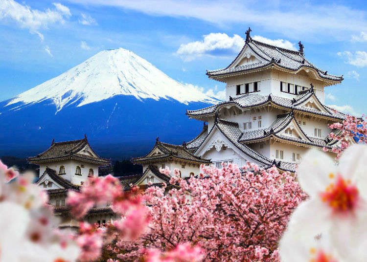 Photograph of Mount Fuji with cherry blossoms.